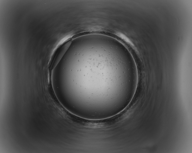 X0000084531269200703021412