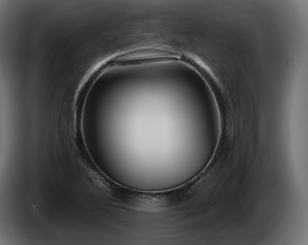X0000084531270200703021412