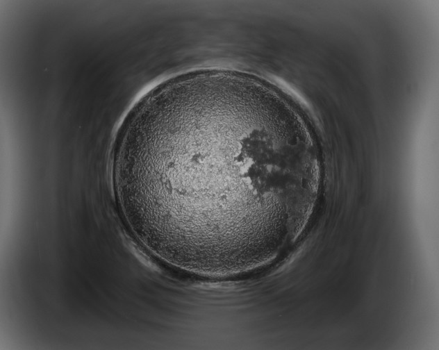 X0000084531272200703021412