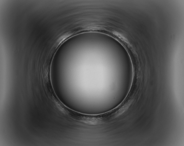 X0000084531273200703021412
