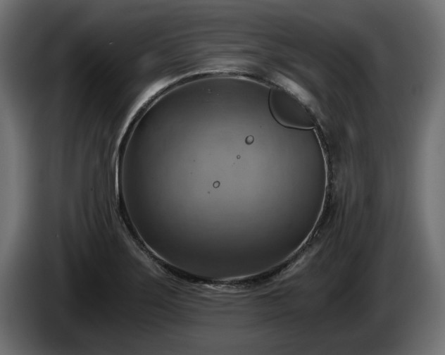 X0000084531275200703021412
