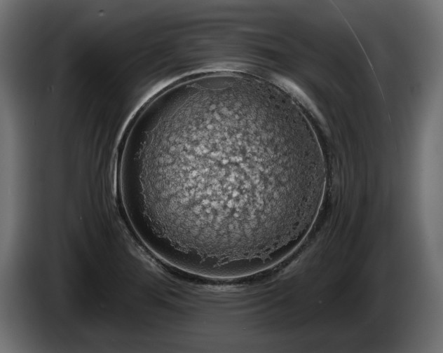 X0000084531276200703021412