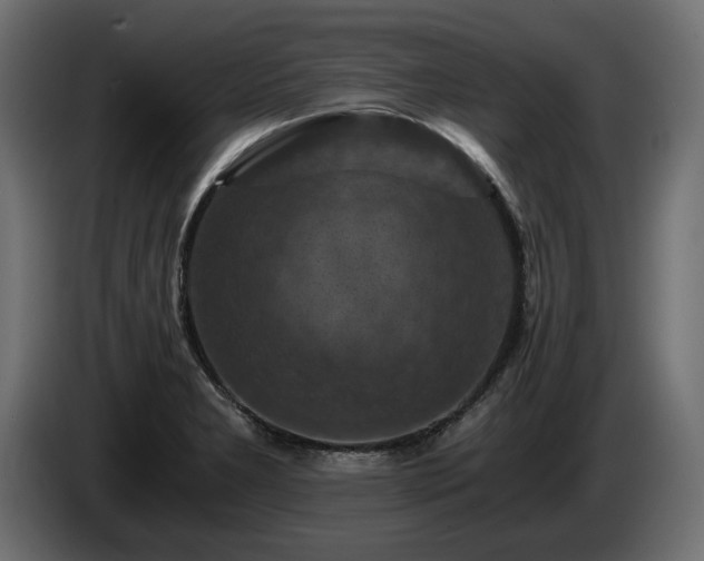 X0000084531277200703021412