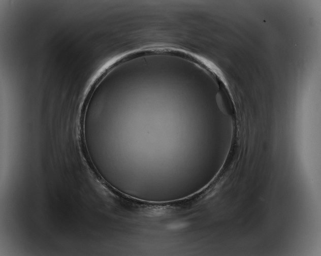 X0000084531279200703021412