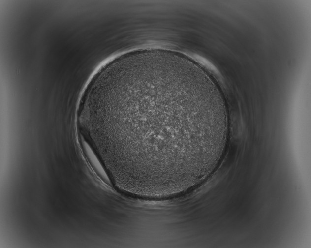 X0000084531280200703021412