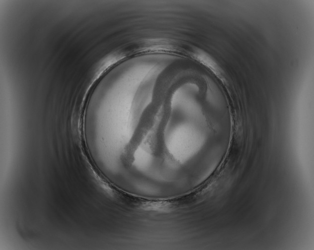 X0000084531282200703021412