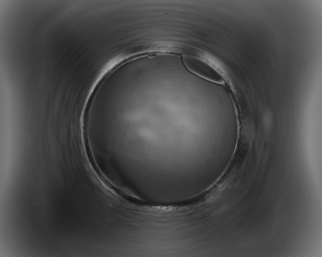X0000084531283200703021412
