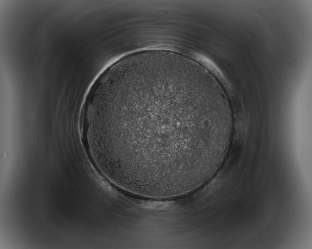 X0000084531284200703021412