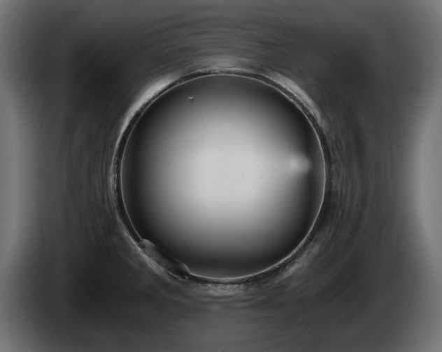 X0000084531285200703021412