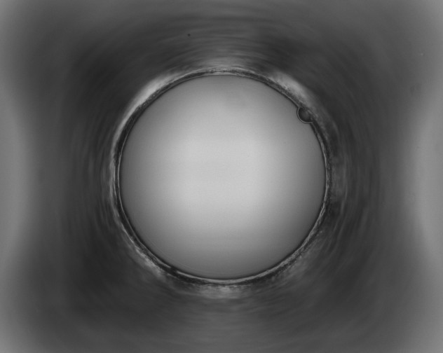 X0000084531286200703021412