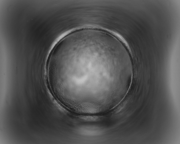 X0000084531287200703021412