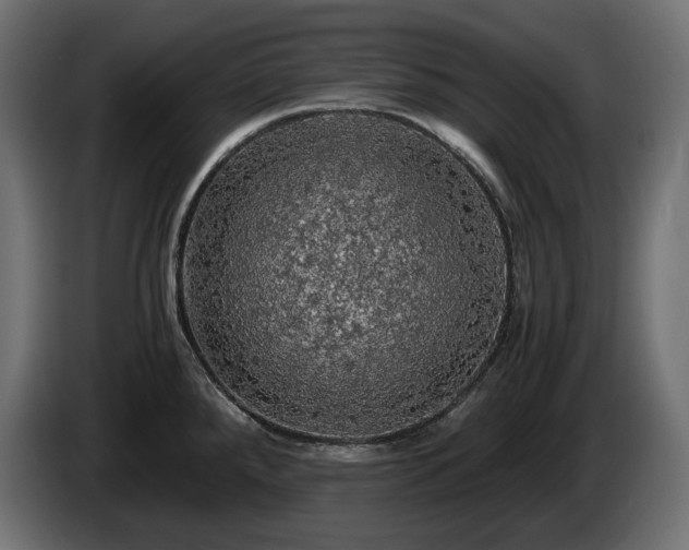 X0000084531288200703021412