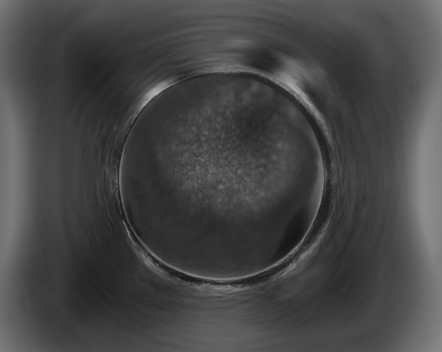 X0000084531289200703021412