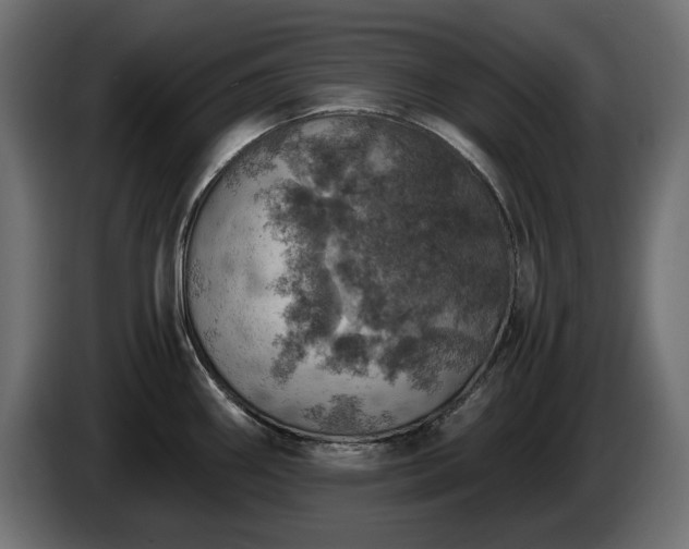 X0000084531290200703021412