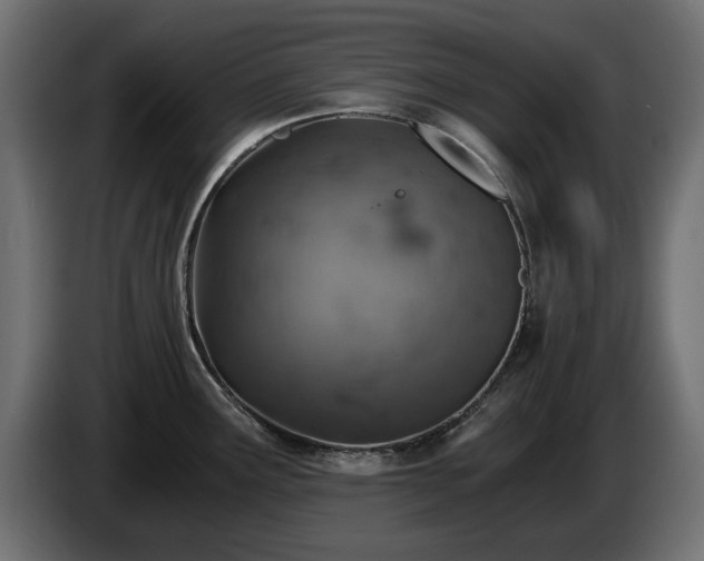 X0000084531291200703021412