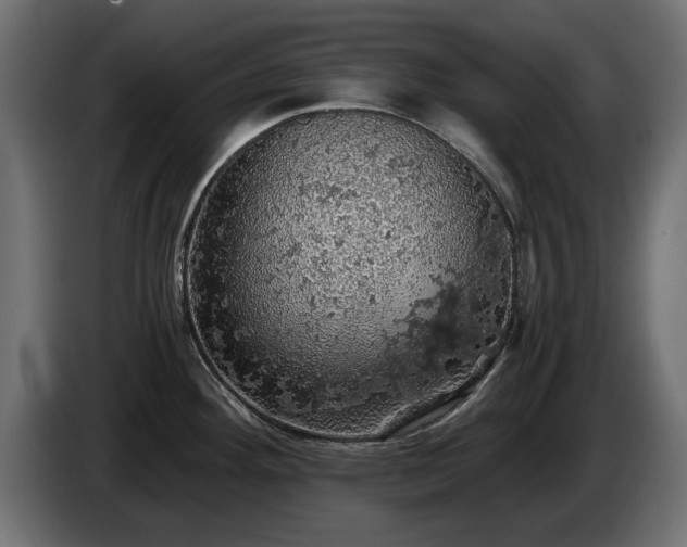 X0000084531292200703021412