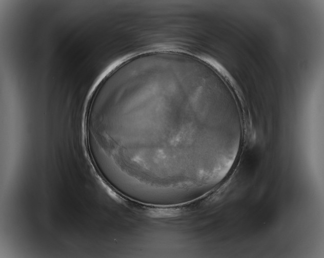 X0000084531294200703021412