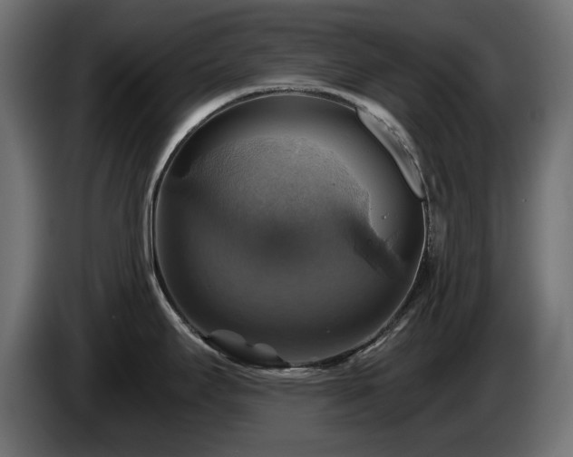 X0000084531295200703021412