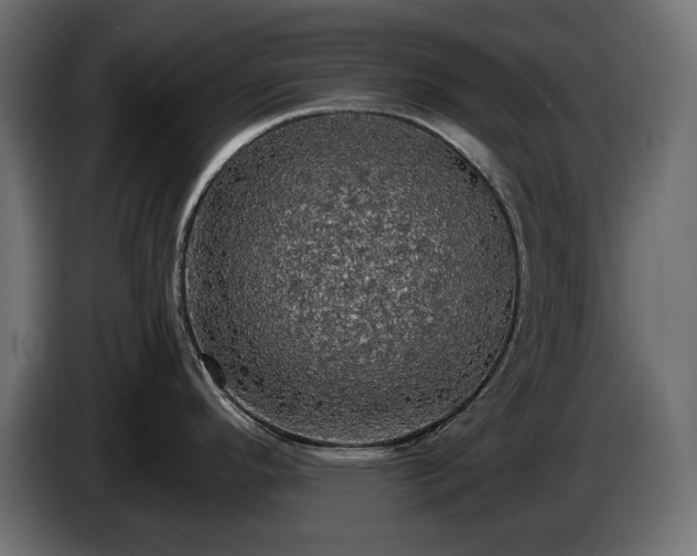 X0000084531296200703021412
