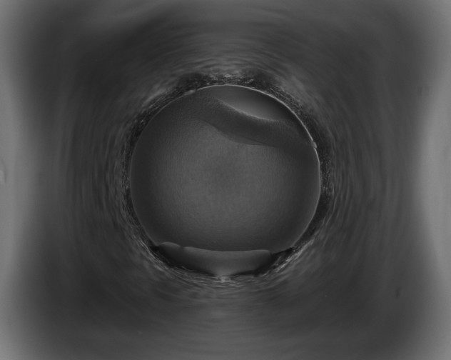 X0000084531297200703021411