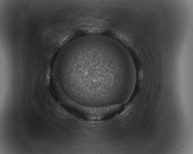X0000084531300200703021411