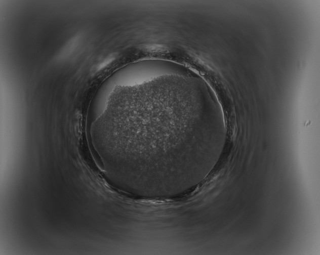 X0000084531301200703021411