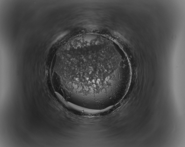 X0000084531302200703021411