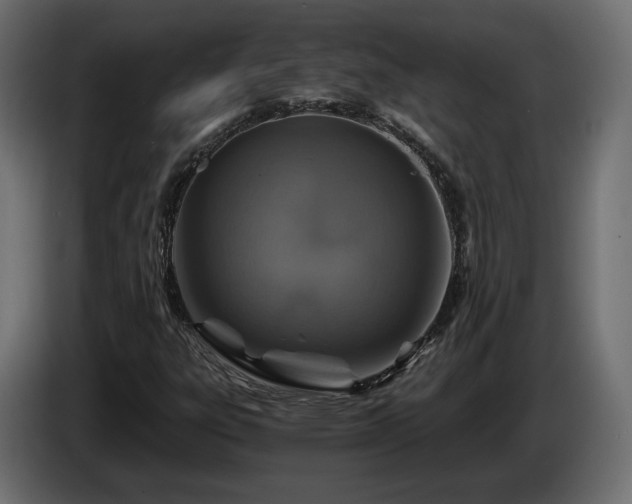 X0000084531303200703021411