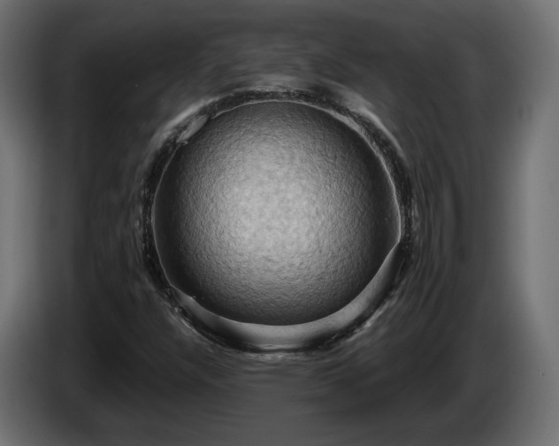 X0000084531304200703021411