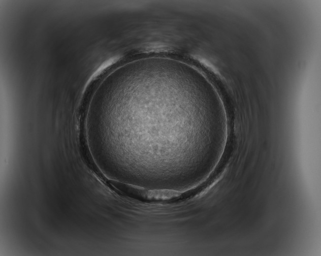 X0000084531309200703021411