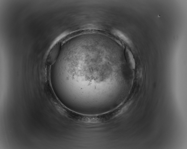 X0000084531310200703021411