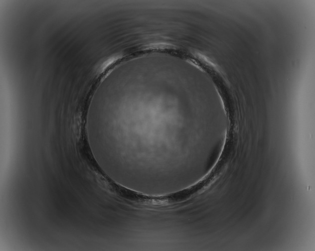X0000084531313200703021411