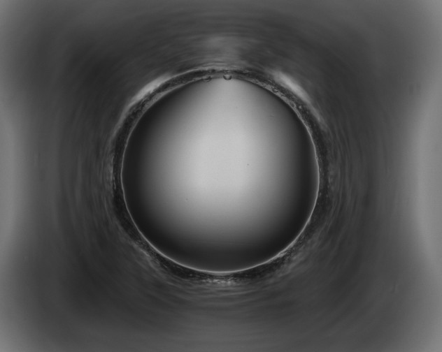 X0000084531315200703021411
