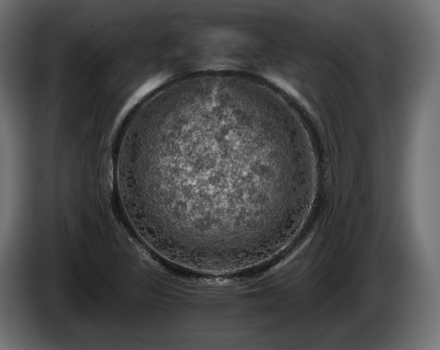 X0000084531317200703021411