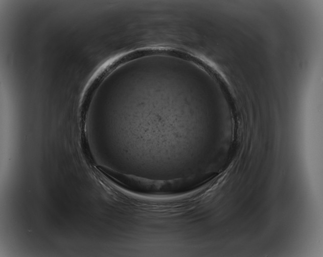 X0000084531319200703021411