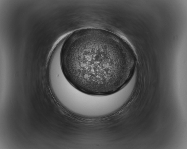 X0000084531320200703021411