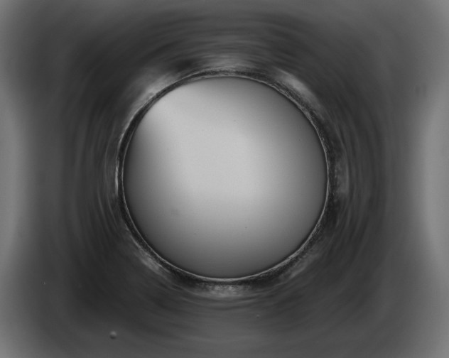 X0000084531322200703021411