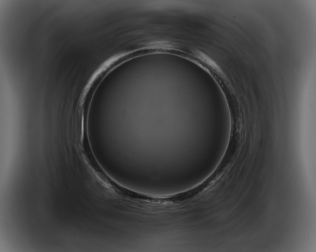 X0000084531323200703021411