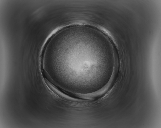 X0000084531326200703021411