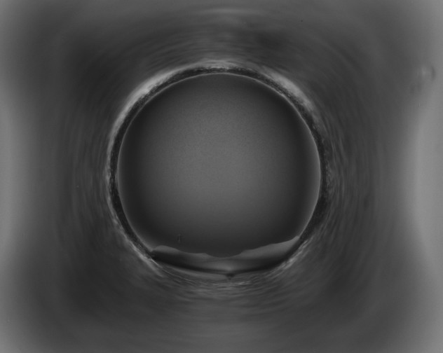 X0000084531327200703021411