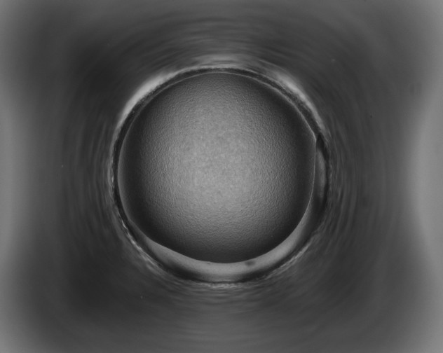 X0000084531328200703021411