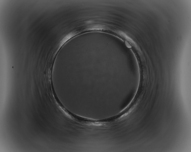 X0000084531329200703021411