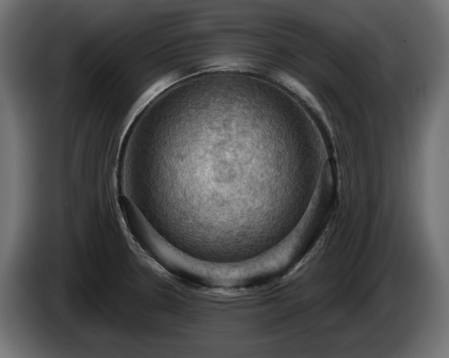X0000084531330200703021411