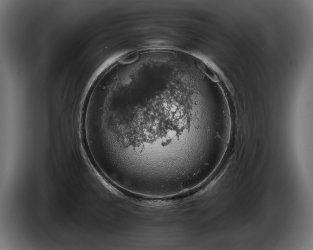 X0000084531333200703021411