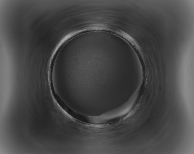 X0000084531334200703021411
