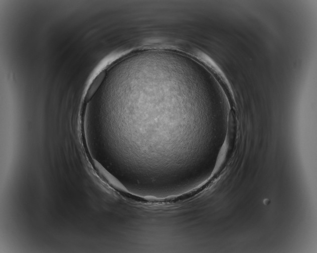 X0000084531336200703021411