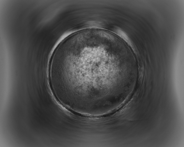 X0000084531339200703021411
