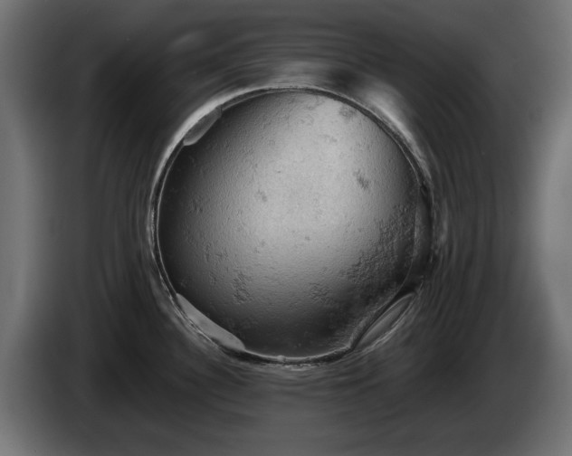 X0000084531340200703021411