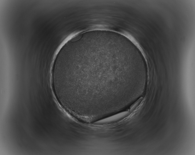 X0000084531341200703021411