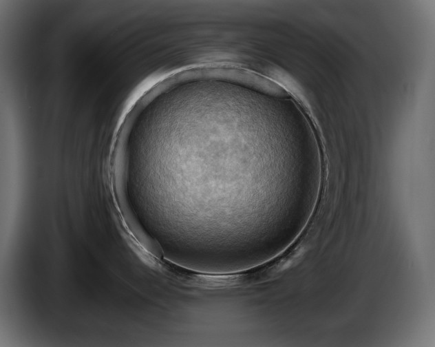 X0000084531344200703021412